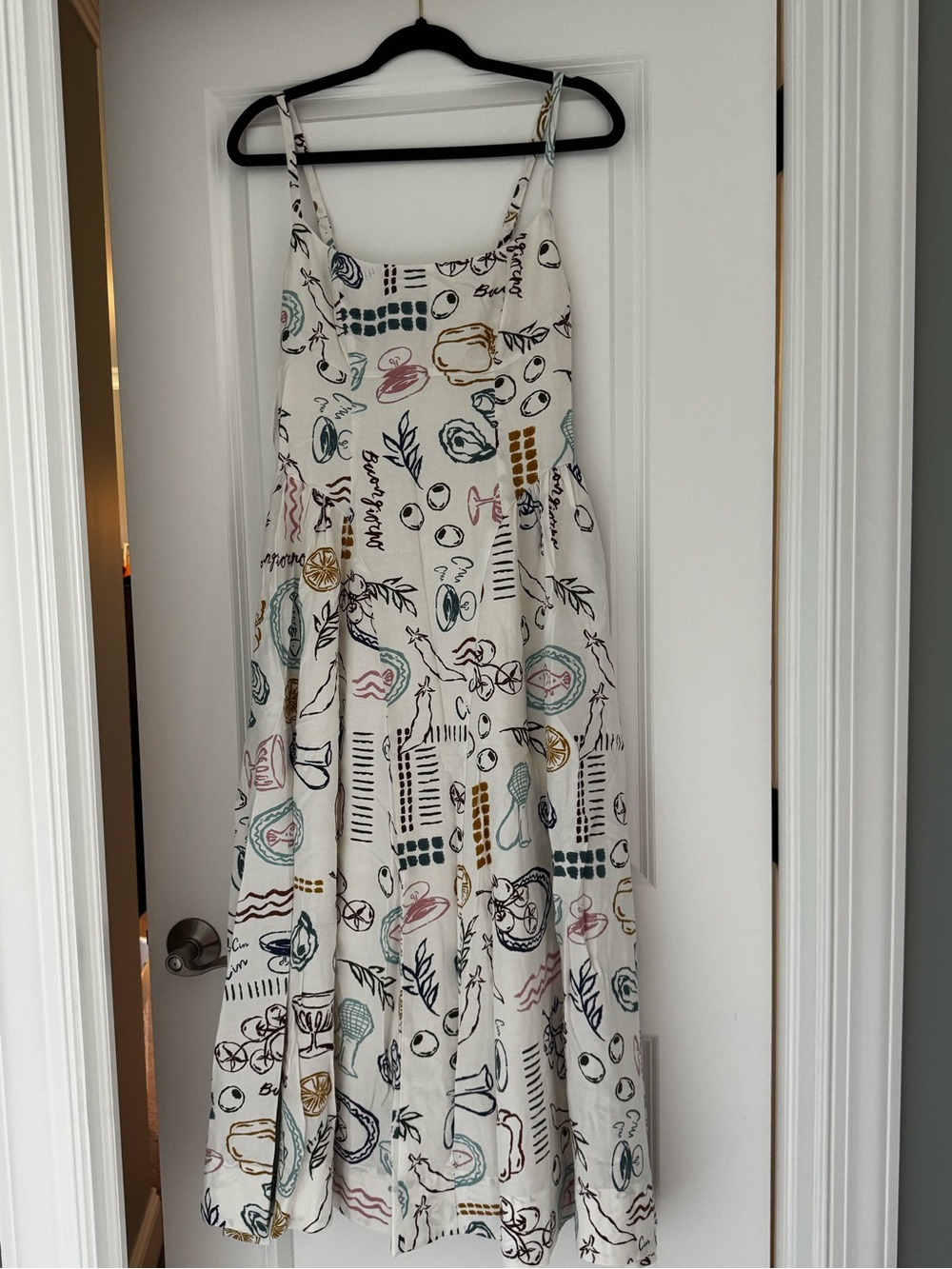ASTR Picnic Dress Anthropologie
